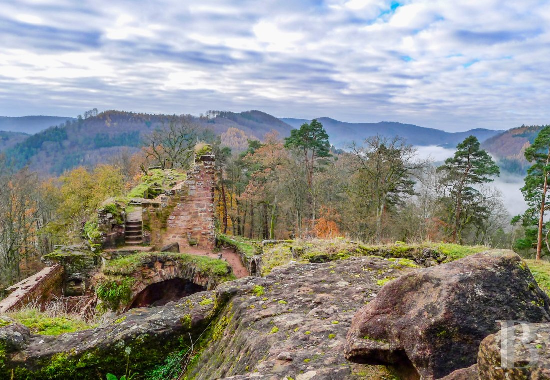 Dans les Vosges du Nord,  un ancien pavillon de chasse du 19e siècle transformé en confortable maison alsacienne traditionnelle - photo  n°18